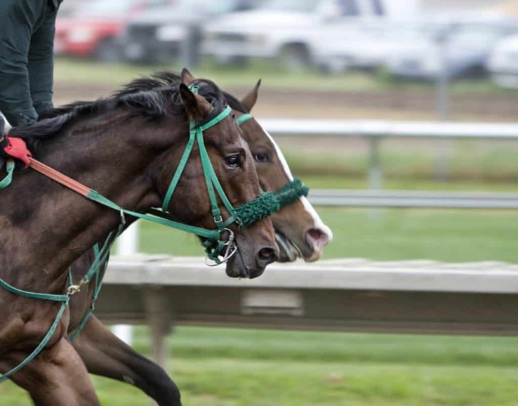 Foto von Julia Huber