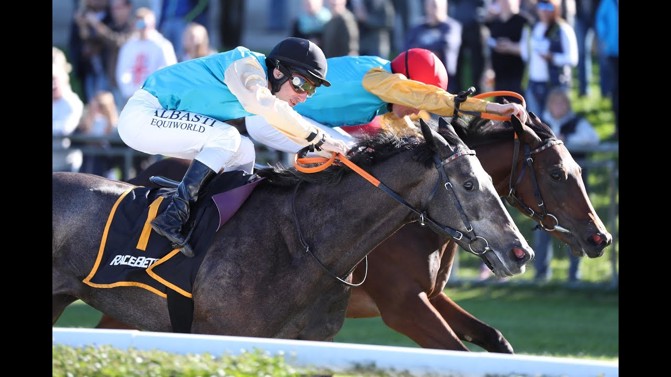 Beste racebet registrieren 2026
