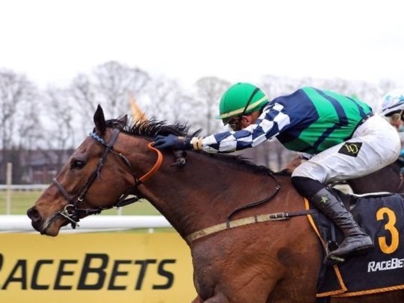 Beste racebet registrieren 2026